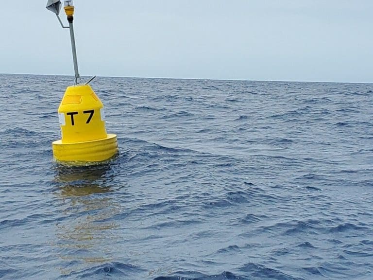 DPNR Deploys New Fish Aggregating Devices