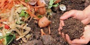 Free Composting & Food Security Event Rescheduled for Jan. 14