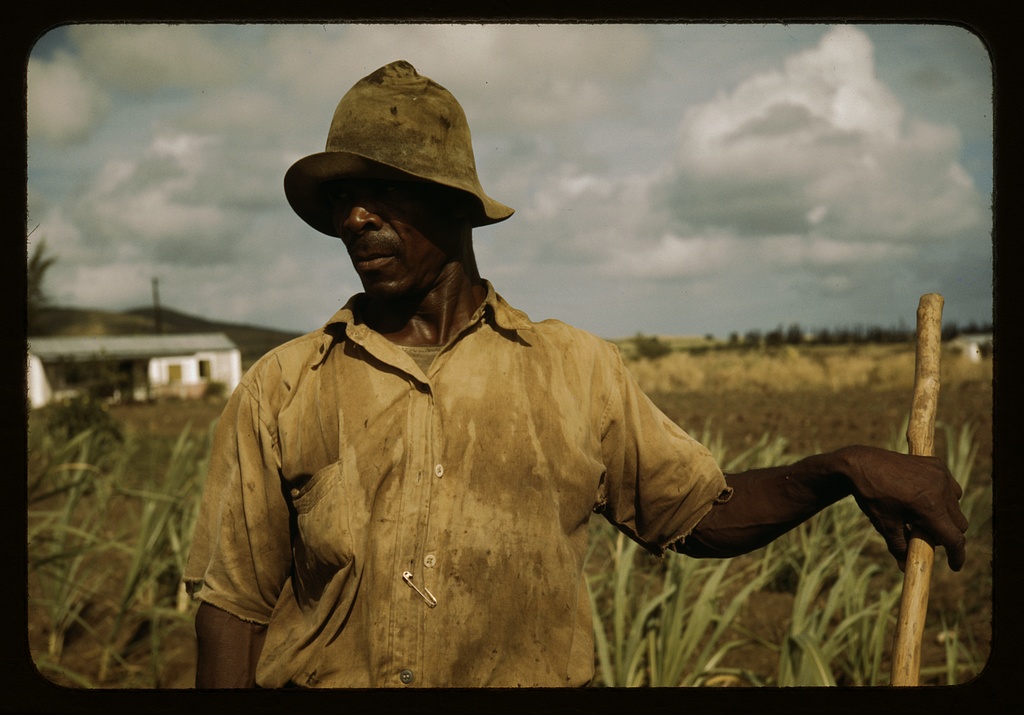 VI Corp farmer St. Croix