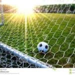 soccer ball and net
