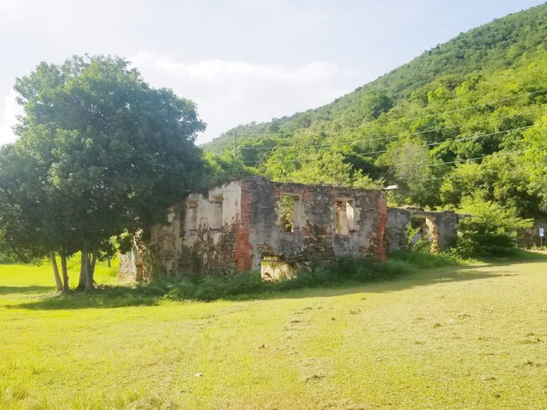 Owners Responsible For Maintaining Historic Landmarks, Like UVI Ruins
