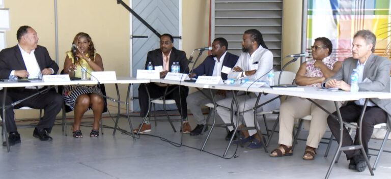Land-Use Experts See Unique Opportunity In Frederiksted
