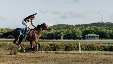 Horse Racing Commission Rushing to Clean Up St. Thomas Track