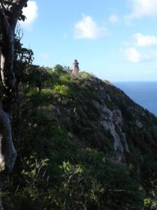 The lighthouse was built 1912-1913. It was put into operation 1913 by the Danish Government in response to the building of the Panama Canal. . The historic lighthouse is the beginning of Maroon Ridge ( Ham’s Bluff) which is over 300 feet above sea level. (Photo by Olasee Davis)