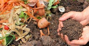 Department of Agriculture, Island Green Living Schedule Free Composting/ Food Security Events