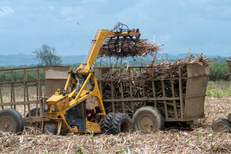 U.S. Targets Dominican Sugar Imports Tied to Forced Labor