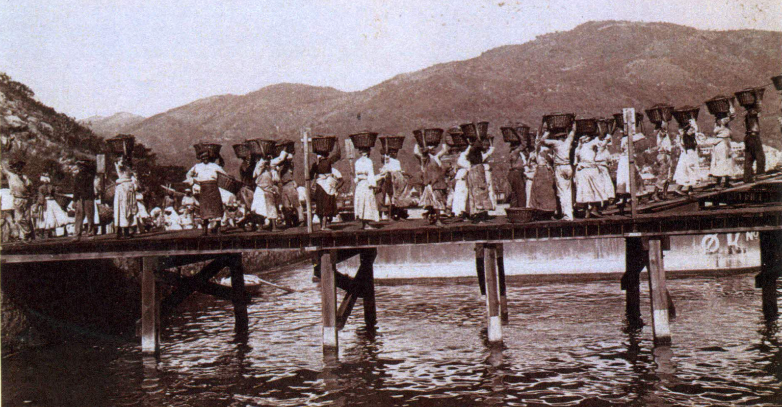 Coal-carriers walk in a row on the East Asiatic Company’s quay. The firm was established on St. Thomas after the Danish Parliament rejected a treaty on the sale of the islands in 1902. The EAC’s coal harbour was on Hassel Island, and the company quickly became the biggest coal supplier in the Danish West Indies. (Photo courtesy Olasee Davis)
