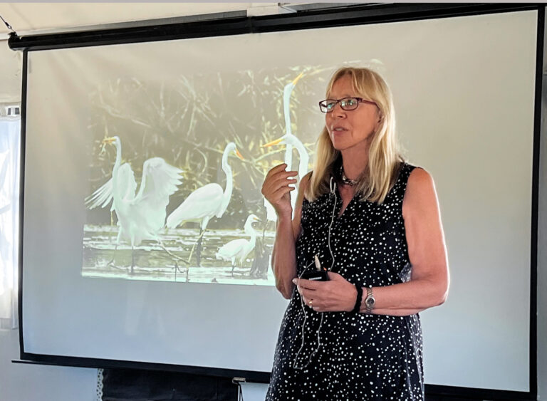 Gail Karlsson Offers Insights Into “the Secret Life of Birds on St. John”