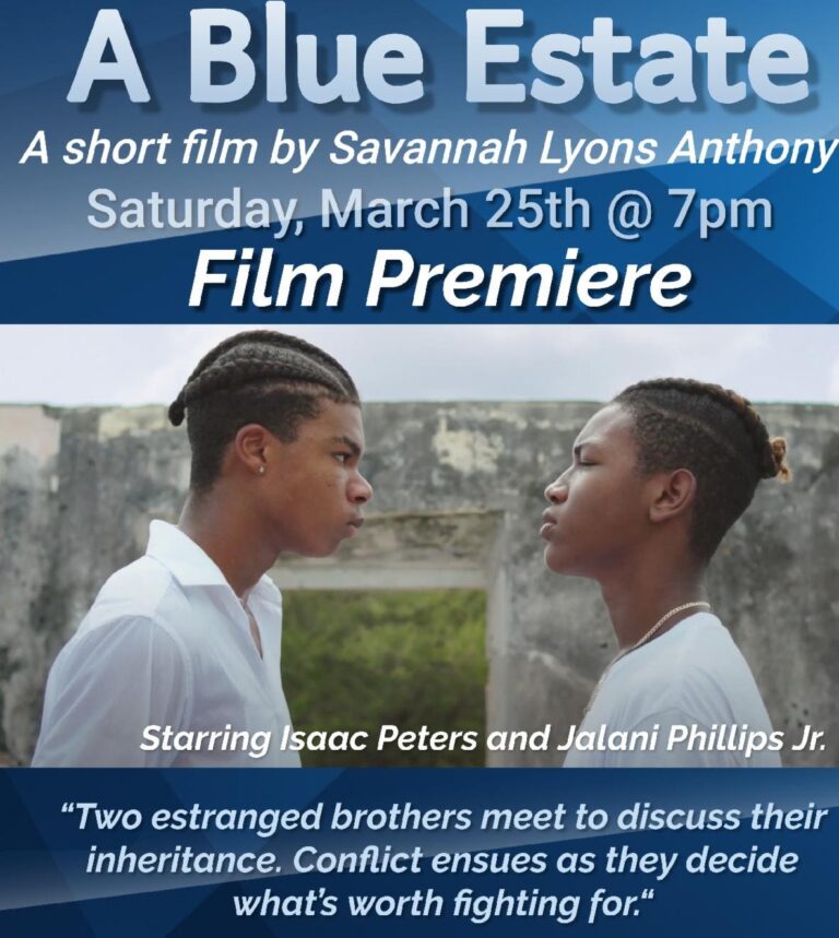 St. John Filmmaker Premieres ‘A Blue Estate’ at Bajo El Sol Gallery