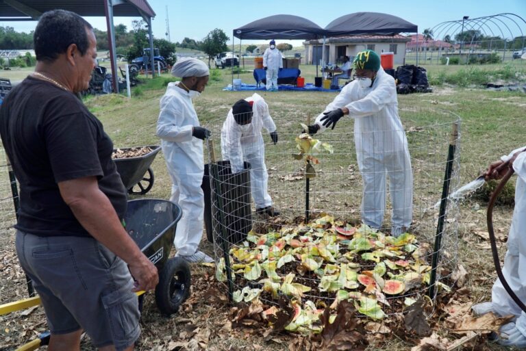 UVI Performs Organic Waste Audit to Investigate Options to Reduce Food Waste in USVI 