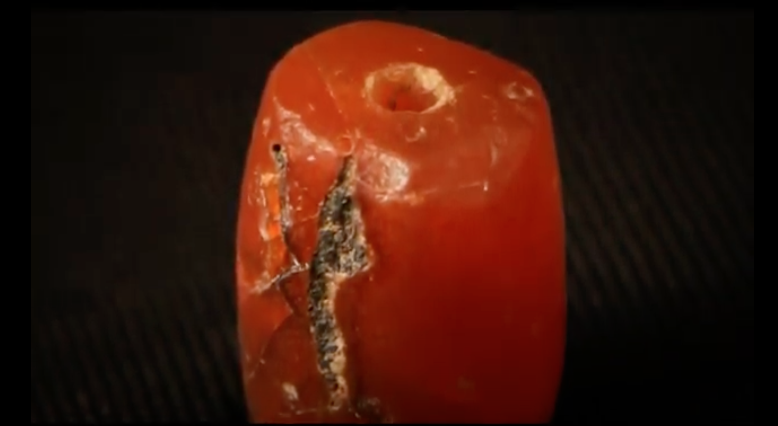 This red carnelian bead did not originate in the Virgin Islands. (Screenshot from the Charlotte Amalie Saladoid Excavation documentary)