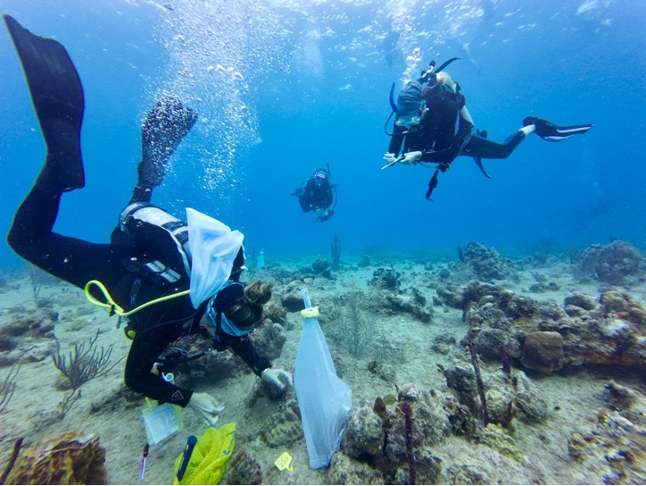 Coral Nursery Launches to Restore Brain Corals in Butler Bay