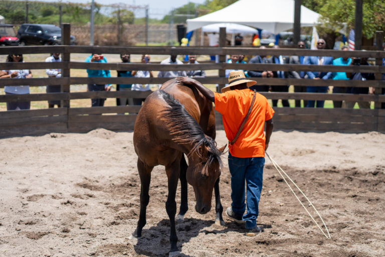 Bryan Tours John A. Bell Facility and Cuts Ribbon for Equine Therapy Program