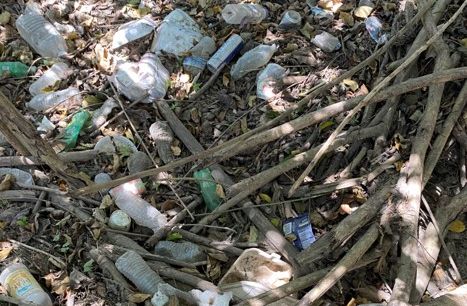 Researchers Study Toxins In Trash-Strewn Ghuts