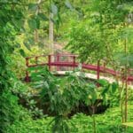 st. george botanical garden
