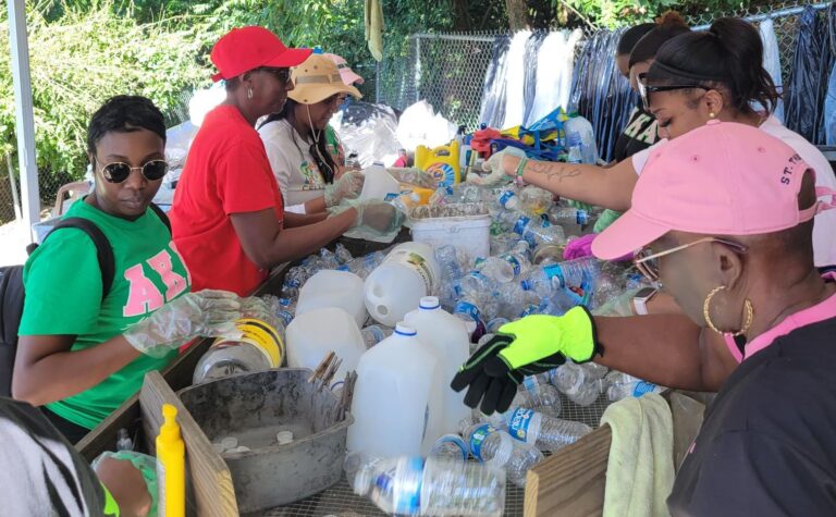 Photo Focus: Alpha Kappa Alpha Helps Boost Recycling on St. John