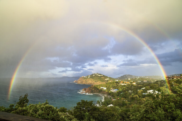 Photo Focus: Rain, Rainbows and Birds, Oh My!