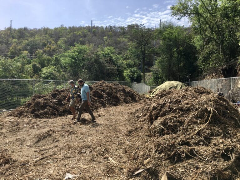 V.I. Local Food and Farm Council Adopts Resolution Regarding Composting of Green Debris