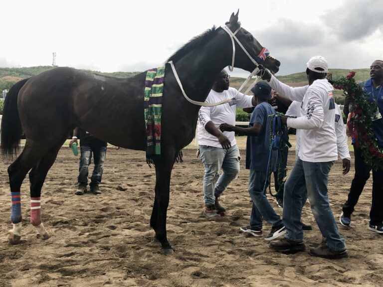 Photo Focus: Horse Racing Returns to Clinton E. Phipps for Carnival 2024