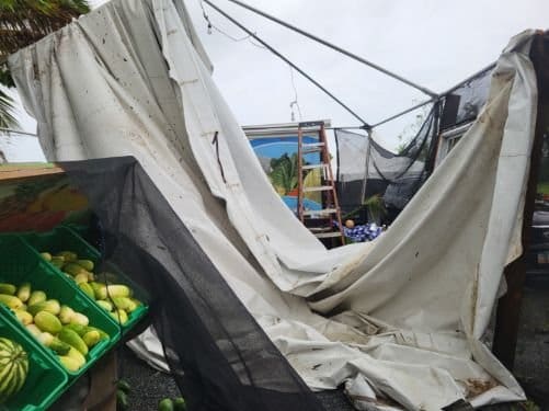 Farmers Struggle to Recover from Ernesto Impacts