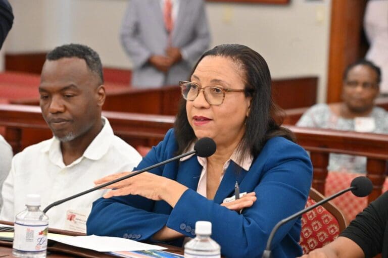 Four Rezoning Requests, Only One Voice in Protest