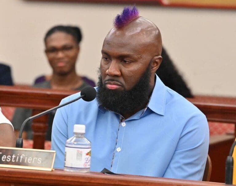 Auto Import Bill Tabled, DJ Benny D Honored