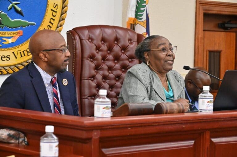 Older Americans Take the Floor in Mock Legislative Session