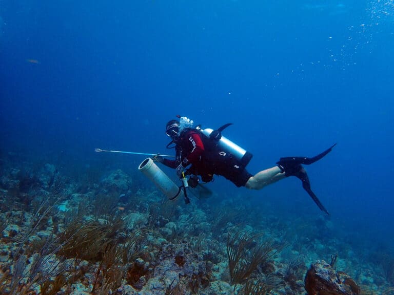Divers Battle Lionfish This Weekend at STTJ Lionfish Derby