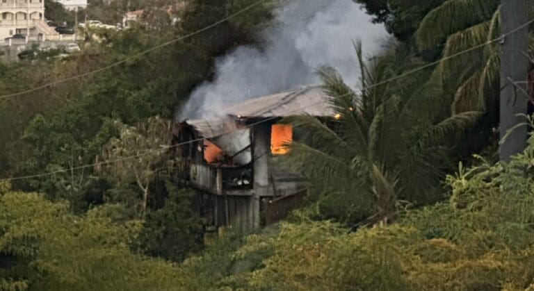 A house erupts in flames Thursday in Estate Mariendahl on St. Thomas. (VIFEMS photo)