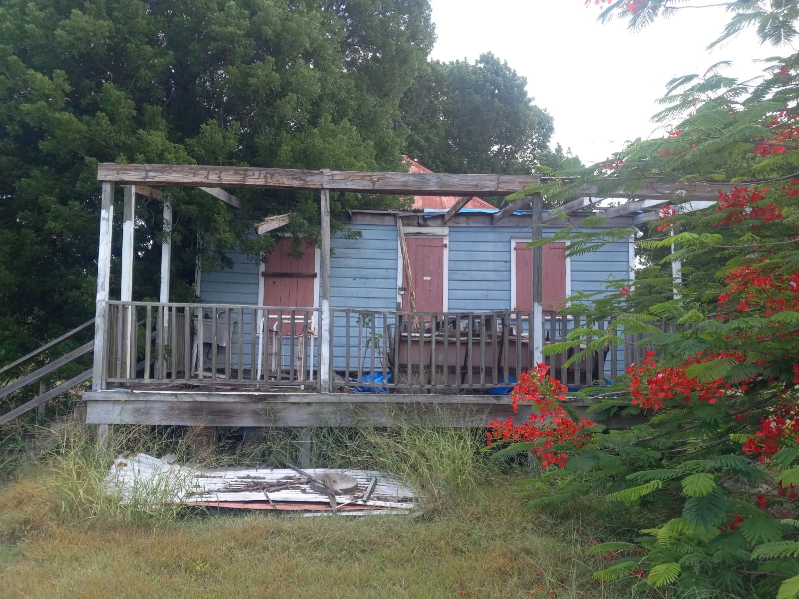 Not only the great house at Whim Museum needs to be restored. Other structures on the site, such as this wood building, are in need of restoration. This wood structure was impacted by Hurricane Maria almost eight years ago. (Photo by Olasee Davis)