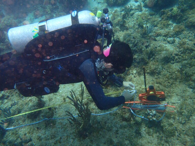 NOAA Scientists Study St. Croix’s Coral Reefs to Guide Protection Efforts