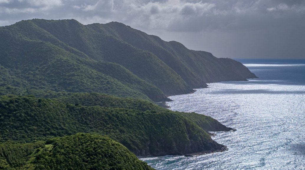The series of scenic ridges that run the length of the Maroon Sanctuary Territorial Park in remote northwest St. Croix contain several distinct watersheds and are home to the island's largest contiguous forest, providing vast intact habitat for a variety of rare and endangered species of flora and fauna. (Photo courtesy DPNR)