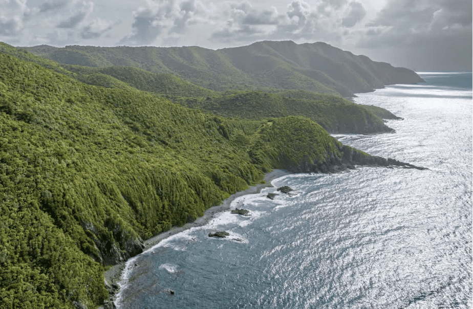 Maroon Sanctuary Territorial Park, contains within its borders an embarrassment of riches: From the marine ecosystems along its pristine coastline to the sun-dappled floor of virgin forest ,this wild region of northwestern St. Croix carries echoes of an elemental paradise. (Photo courtesy DPNR)