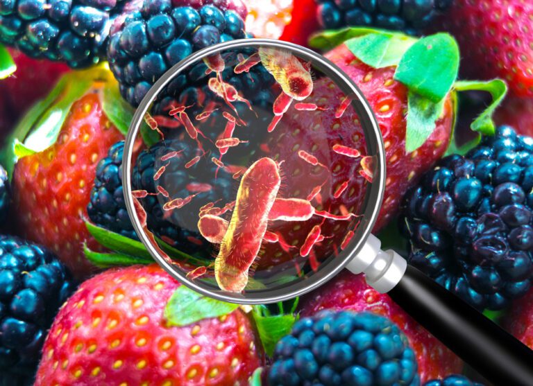 The V.I. Health Department has launched an online portal for residents to report suspected food borne or waterborne illnesses. (Shutterstock image)