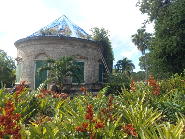 The great house of Whim Estate is no longer a shining example of an architectural wonder built by some of the best builders during the era of the Danish West Indies. It is now being taken over by the elements of nature, where plants, and other living organisms like fungi are destroying the structure of the house. (Photo by Olasee Davis)