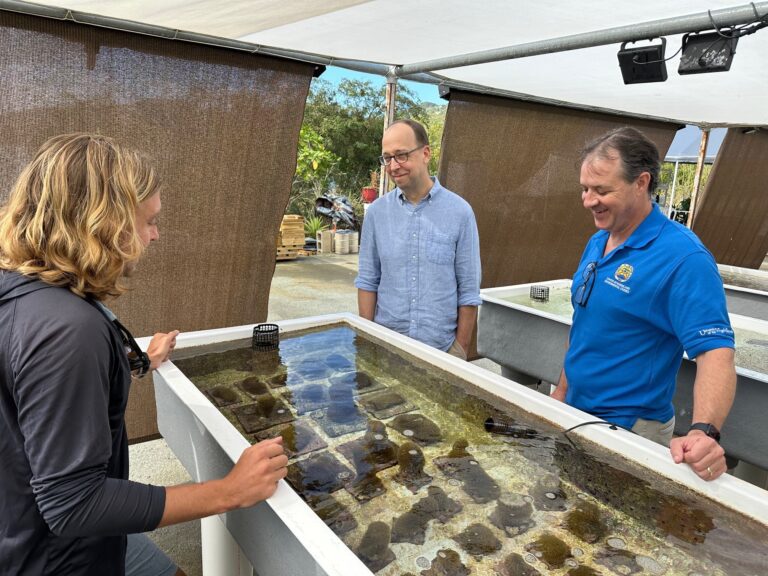 NOAA Discusses Coastal Resilience with UVI’s Center for Marine and Environmental Studies 