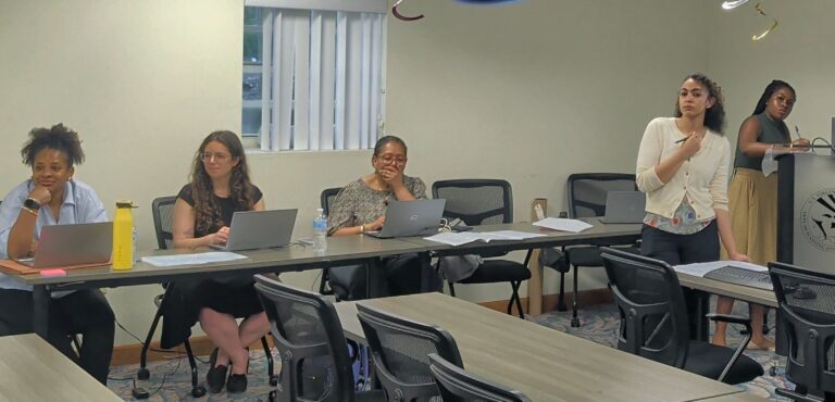Calls for Walkability, Transit Improvements Dominate 2050 Plan Discussion on St. Thomas