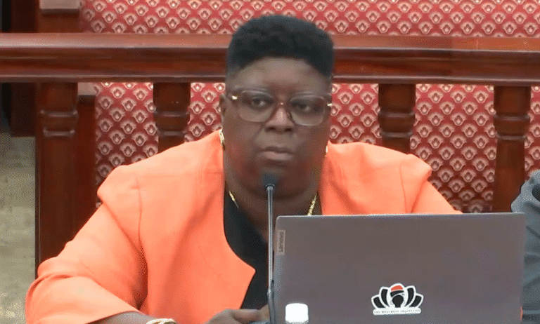 Officials, Nonprofits Warn Lawmakers of Rising Homelessness, Strained Shelters
