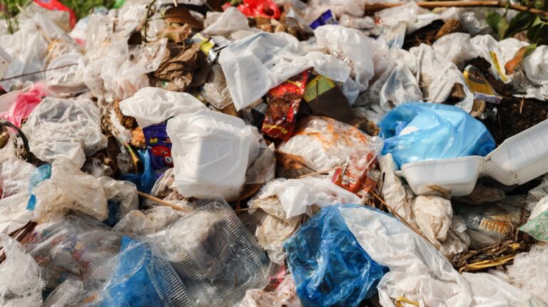 VI Clean Coasts (VICC) is announcing a territory-wide expansion of its efforts to combat the persistent pollution caused by single-use plastics and polystyrene, commonly known as Styrofoam. (Shutterstock image)