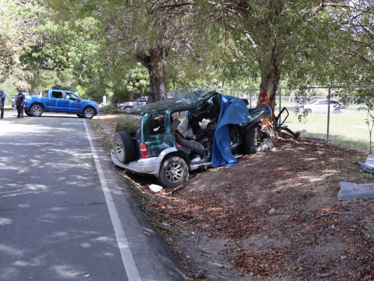 Two Killed in Single-Vehicle Crash Near The Market on Queen Mary Highway
