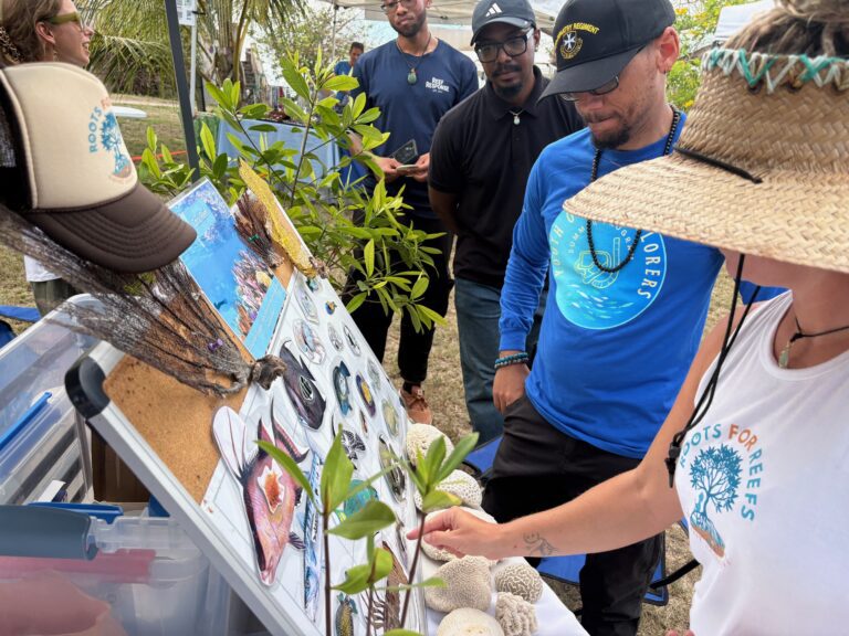 First-Ever Coral Conservation Festival Brings Community, Science, and Hope Together on St. Croix