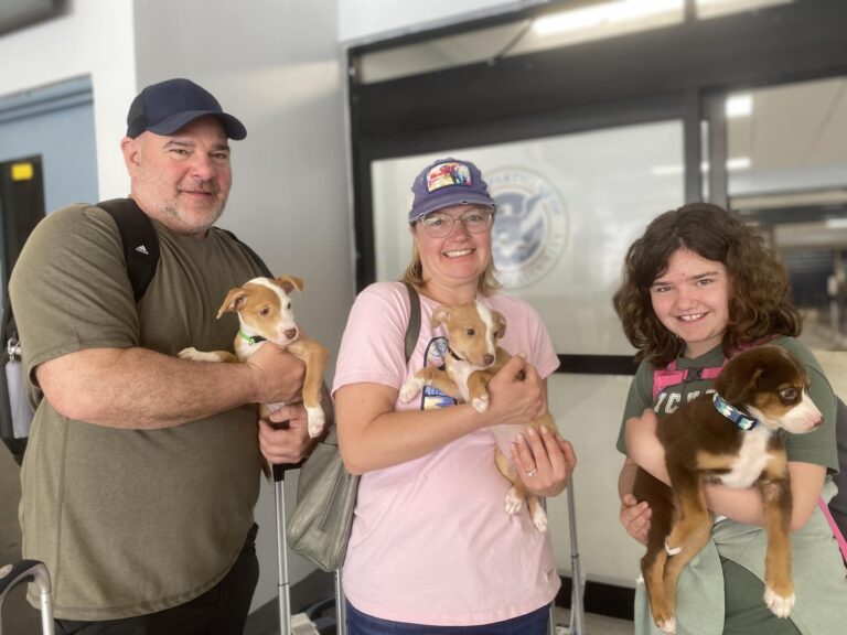 Eight Lives Left: St. Thomas Cat Now an Oregonian