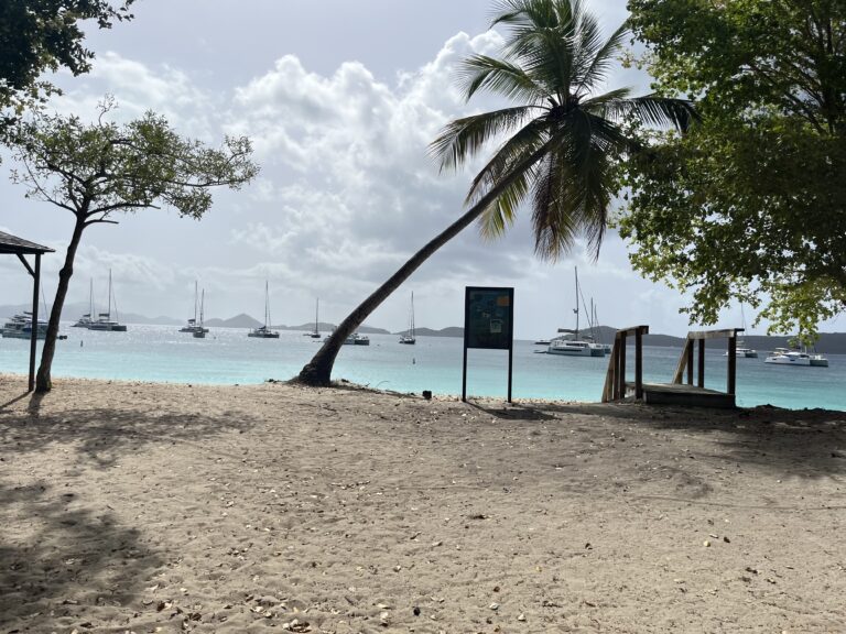 New Website Prioritizes USVI Recreation and Conservation