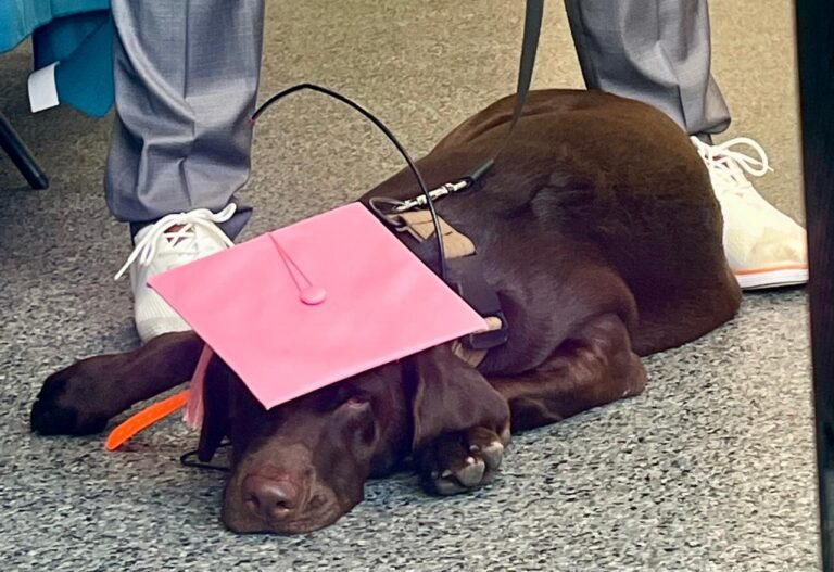 Photo Focus: St. John Rescue Adds Canine Search and Rescue Duty to Its Capabilities