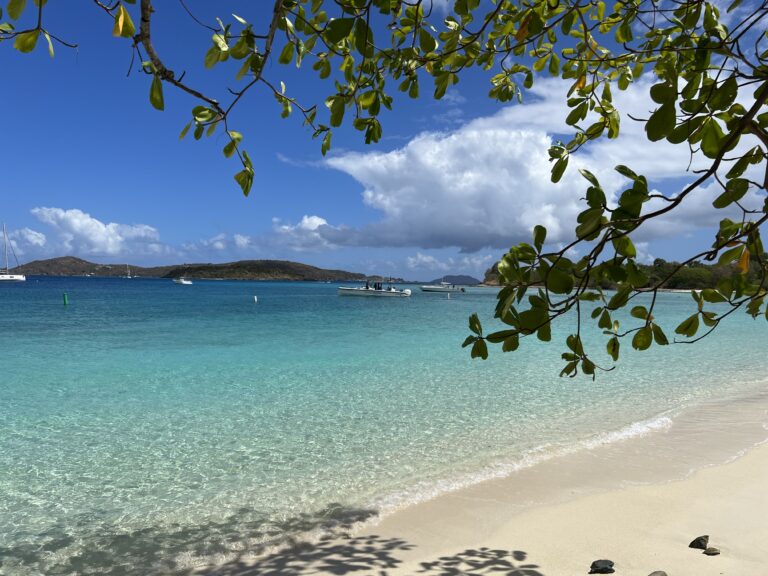 Reporter’s Notebook Part 3: Community Leaders Weigh in on New Plan to Redevelop Caneel Bay